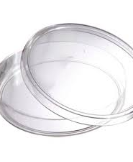 اطباق بيتري (مفرد -قسمين)