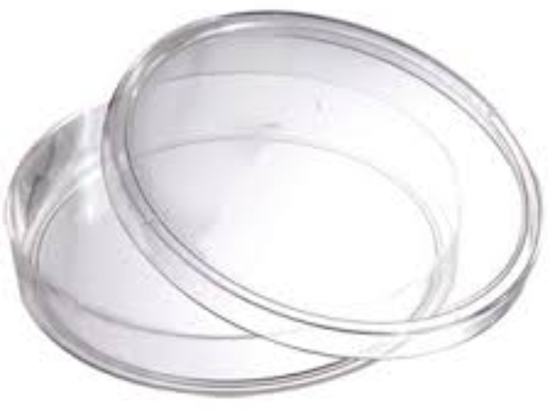 Petri Dishes